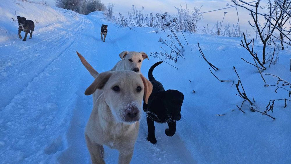 Pomóż nam znaleźć najlepsze domy