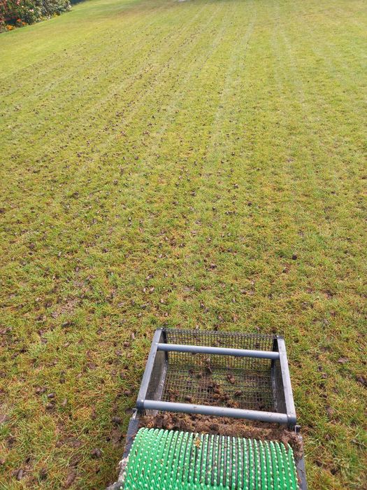 Regeneracja Aeracja trawników piaskowanie wertykulacja dosiew trawy