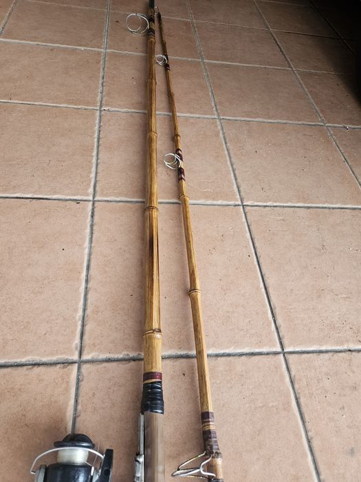 Vendo cana de pesca e carrinho