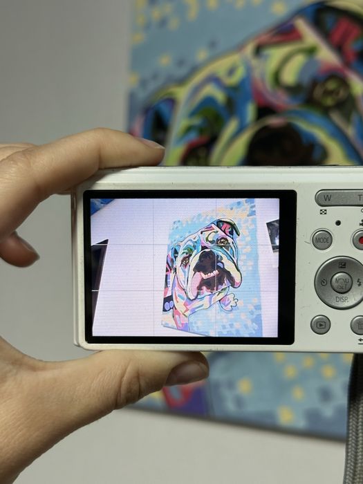 Мильниця Lumix Panasonic DMC-XS1