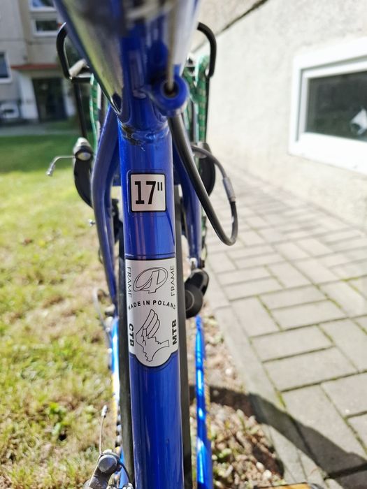 Rower Arkus Delta Trend 301