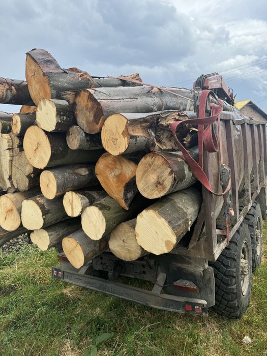 Продам дрова твердої породи:граб,бук,дуб .