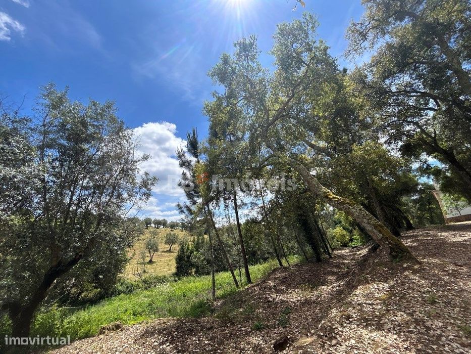 2 Terrenos rústicos - Pardielas, Ferreira do Zêzere