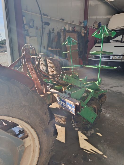 Plantador de bico de pato Fedele Mario