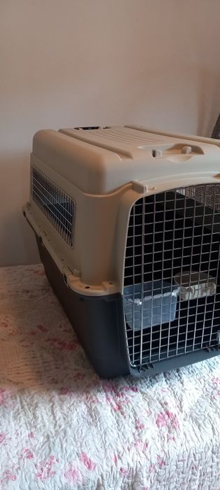 Caixa Transporte para cão padrão IATA
