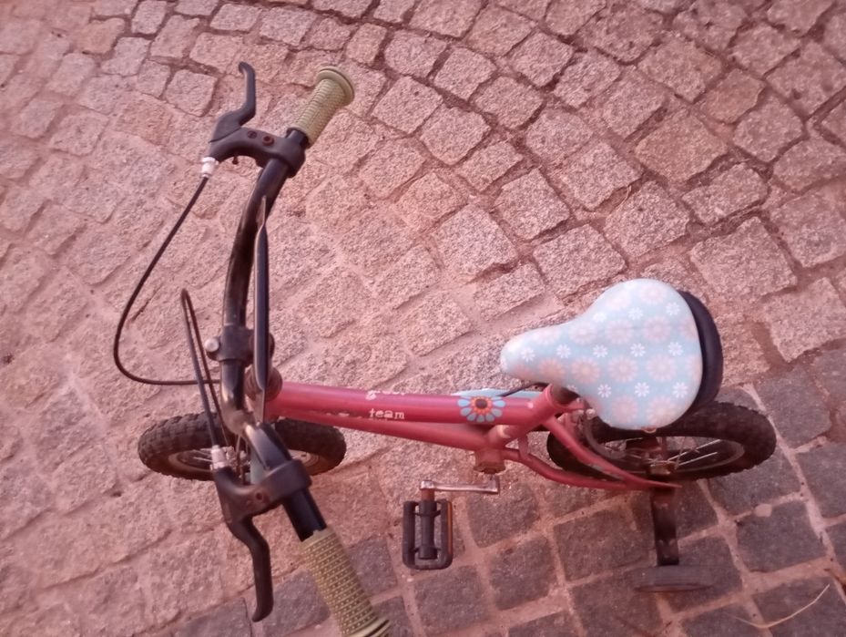 Bicicleta criança