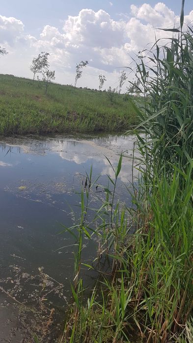 Будинок за адресою (площа 1 м²) - Atlanta.ua - фото 3