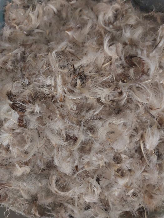 Пух перо гусиное на вес