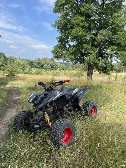 Квадроцикл   250 вайпер механіка башан 250 bashan yamaha