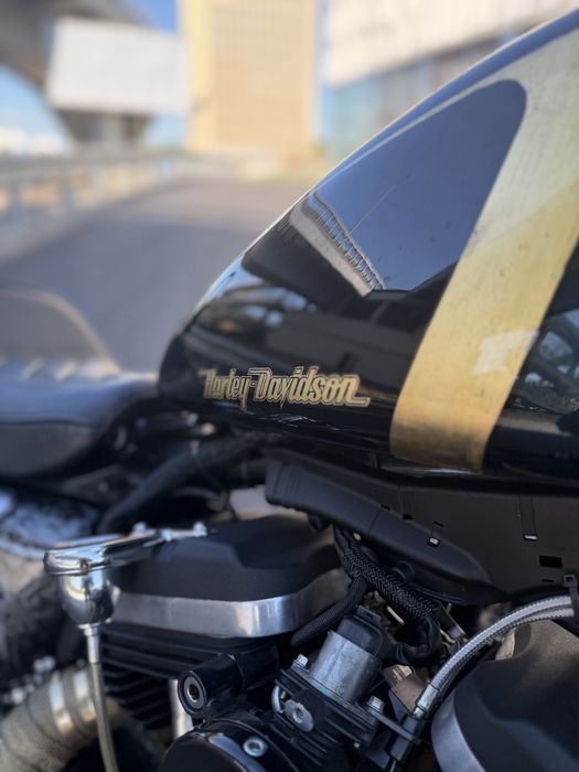 Harley-Davidson (Sportster) iron 883N/1200 Custom