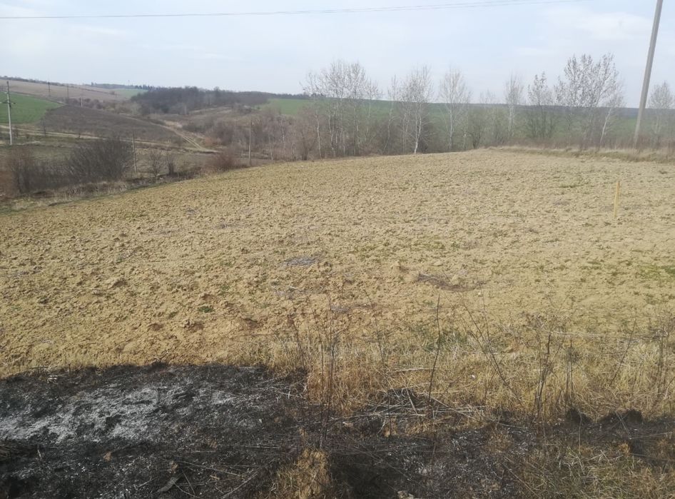 Земельна ділянка