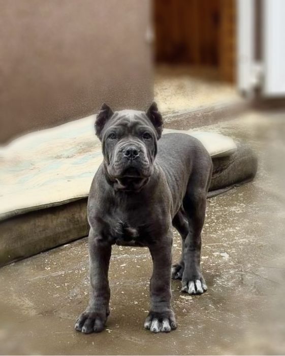 Обережно! Викликають залежність і крадуть сердечка