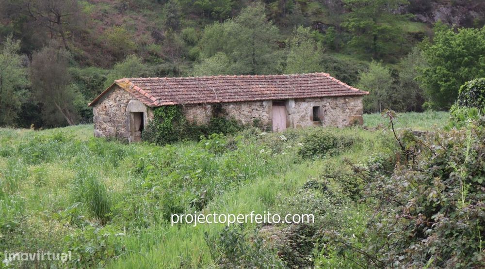 Moradia T6+ à venda em São Pedro de Castelões, Vale de Cambra — foto 7