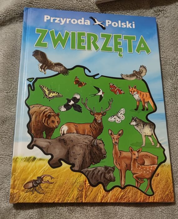 Przyroda Polski Zwierzęta i zwierzęta w lesie NOWE
