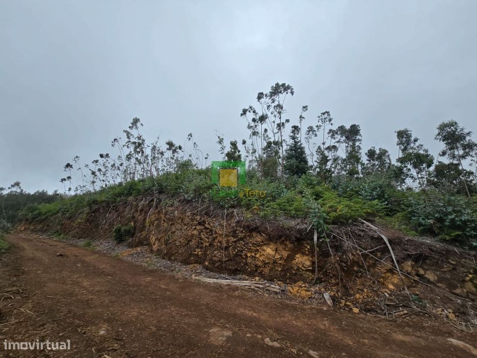Terreno localizado no Santo da Serra