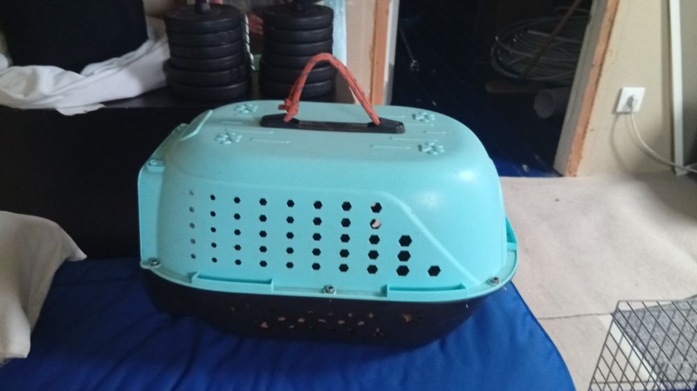 Transporter dla królika