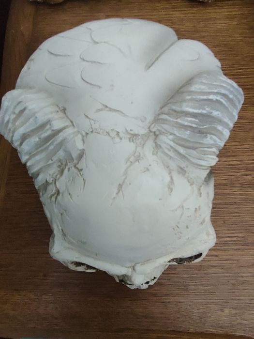 Декор статуетка Готичний янгел Аїда череп Alchemy Gothic