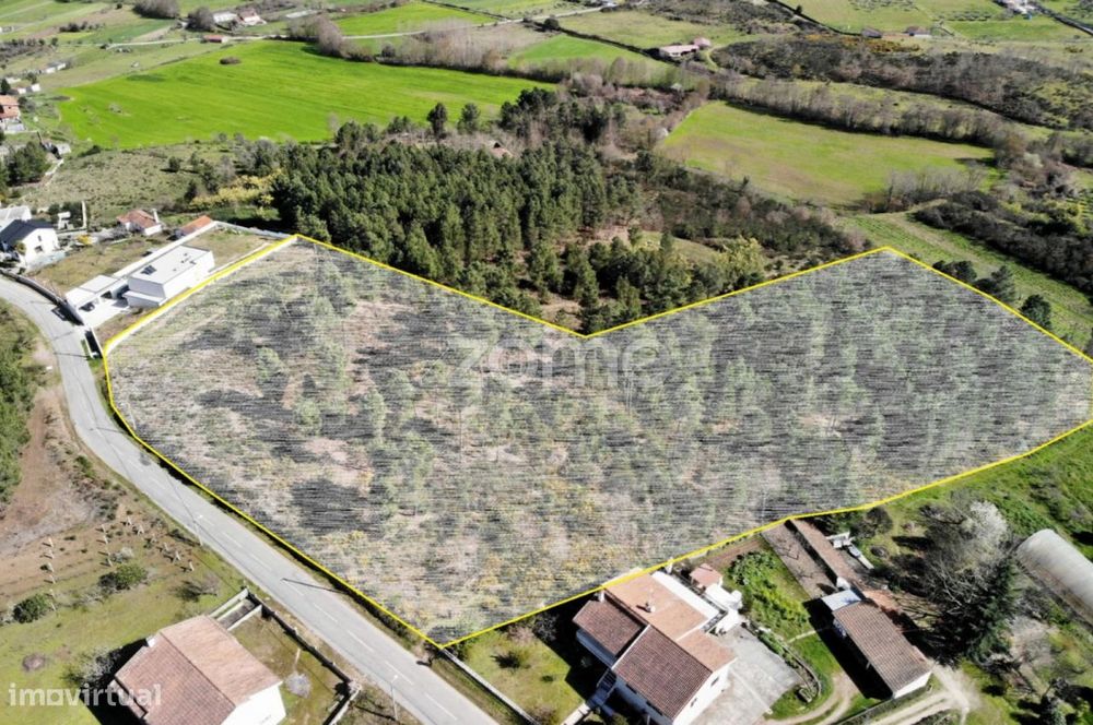 Terreno Samaiões - Urbano