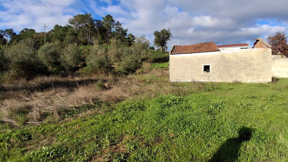 Quinta com 3 hectares a 20 km de Lisboa
