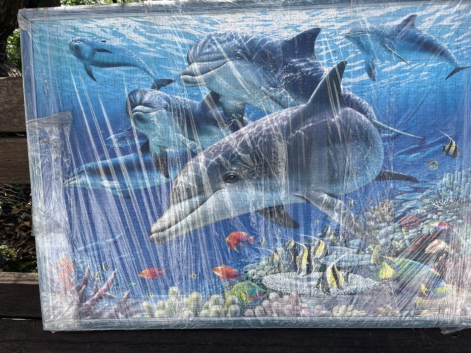 Quadro com golfinhos