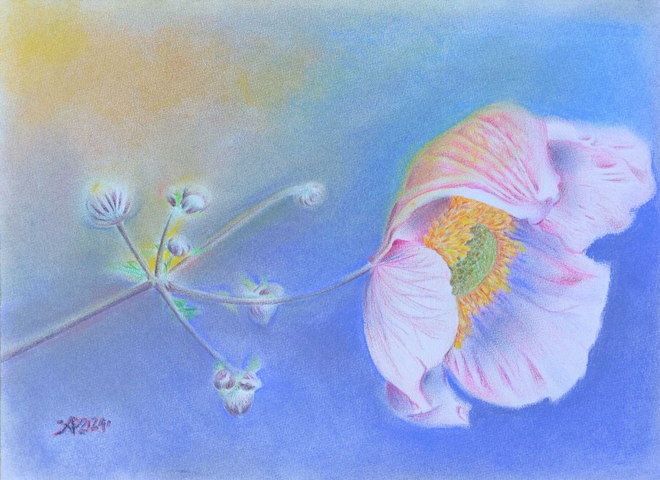 "Dzika róża" kredki ołówkowe i suche pastele na papierze 31x42cm
