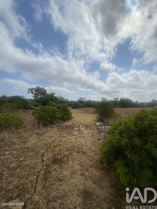 Terreno em Santa Catarina da Fonte do Bispo de 10000,00 m2