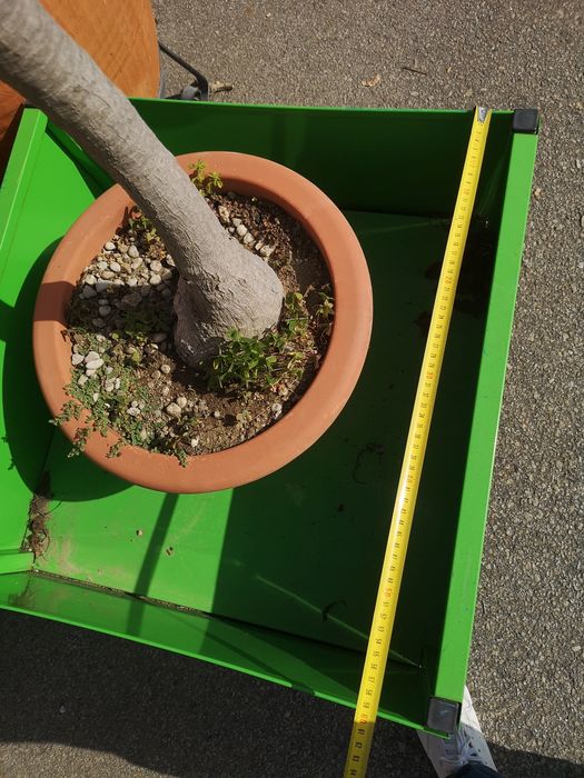 Caixas de cultivo para hortas