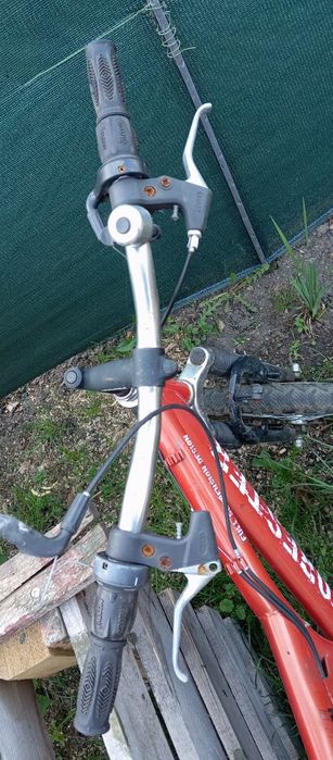 rower forester (full)