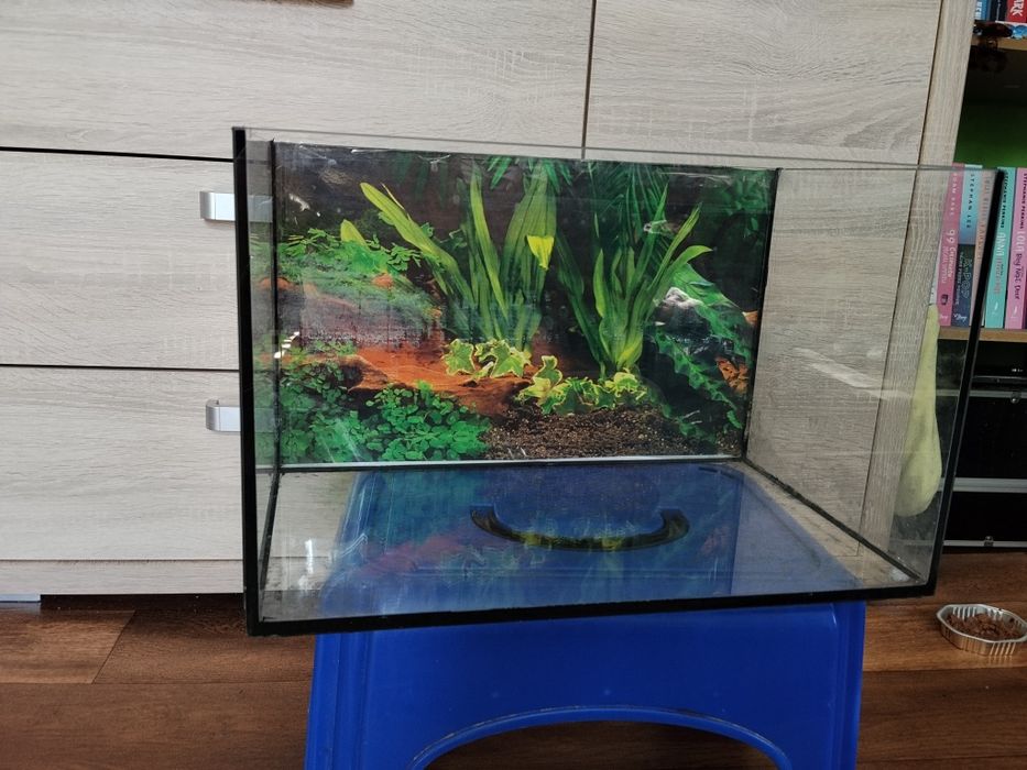 Akwarium 30 litrów