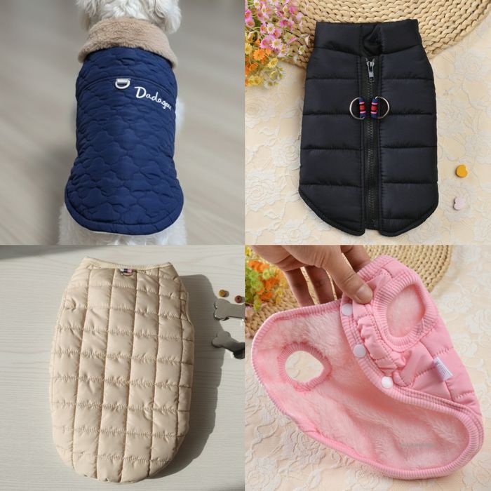 Новий одяг для собак