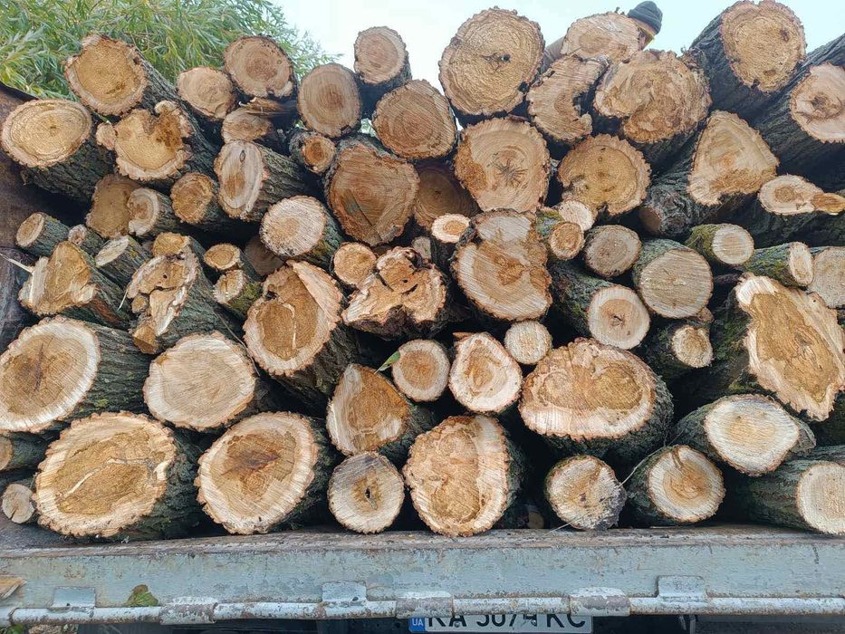 дрова різних порід дешево