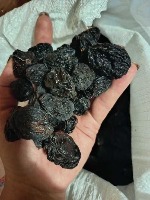 Продам сливу бездимку Сорт Анашпет