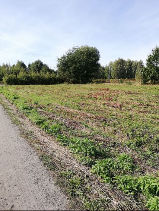 Działka budowlano inwestycyjna 2080 m2