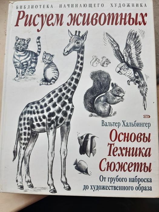 Основы и техника рисунка животных