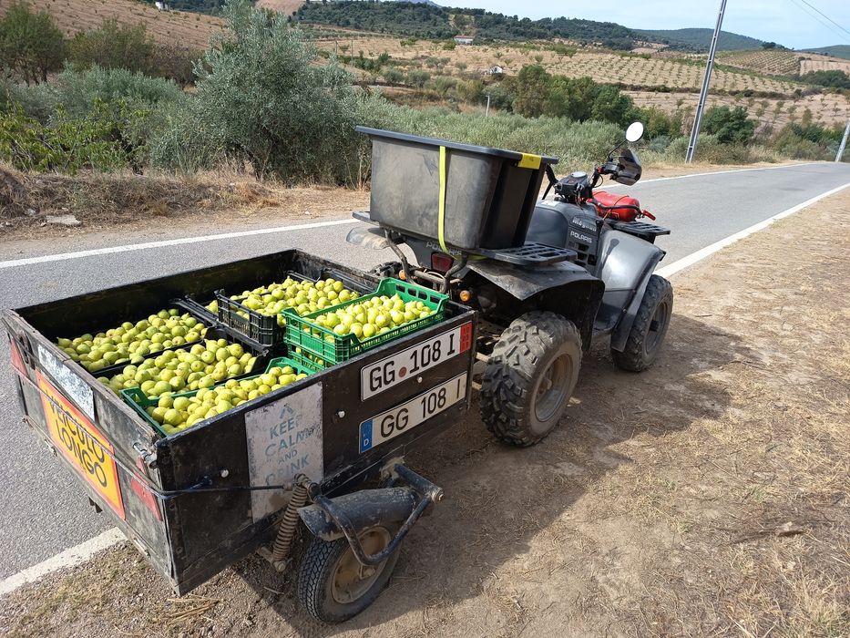 Moto 4 SYM 250 4x2
