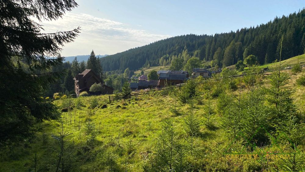 Продаж ділянки, межує з лісом