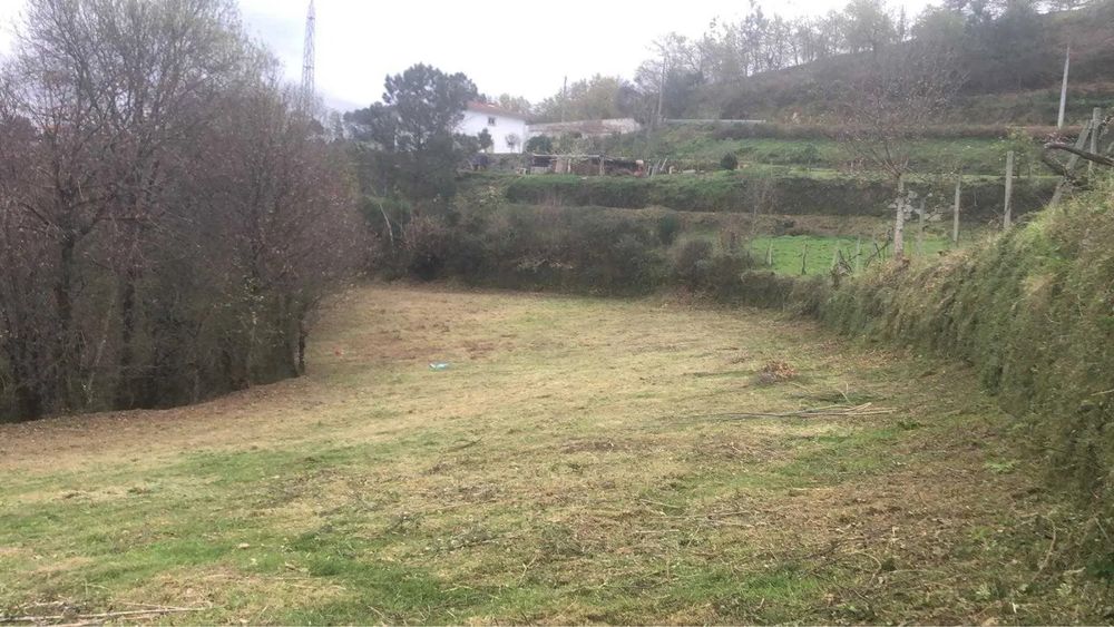 Limpeza/Manutenção de terrenos