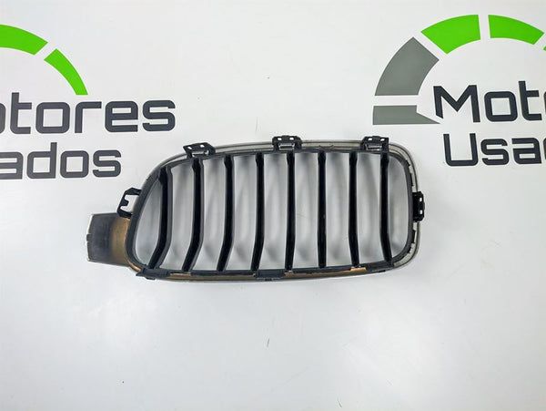 Grelha BMW Serie 3 Usada Original F30, F80