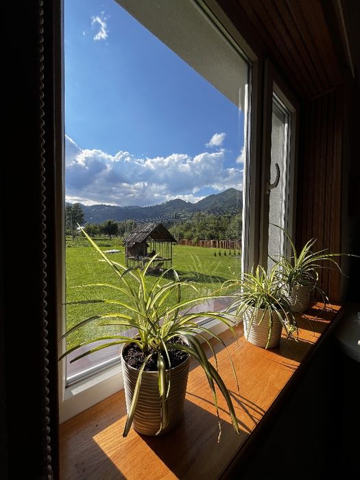 Котедж "Карпатський двір" .Відпочинок в карпатах.Оренда будинку