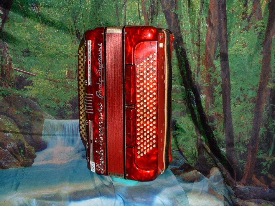 Promoção de Acordeões de concertinas