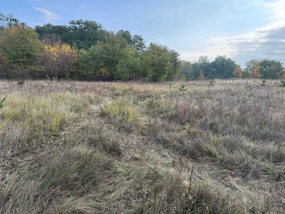 Продаж ділянки 27,5сот під забудову.Двохфасадна.Ліс.Світло поруч.ID:41