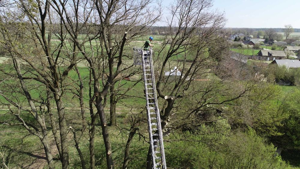 Wycinka i pielęgnacja drzew,  rębak  frezarka do pni