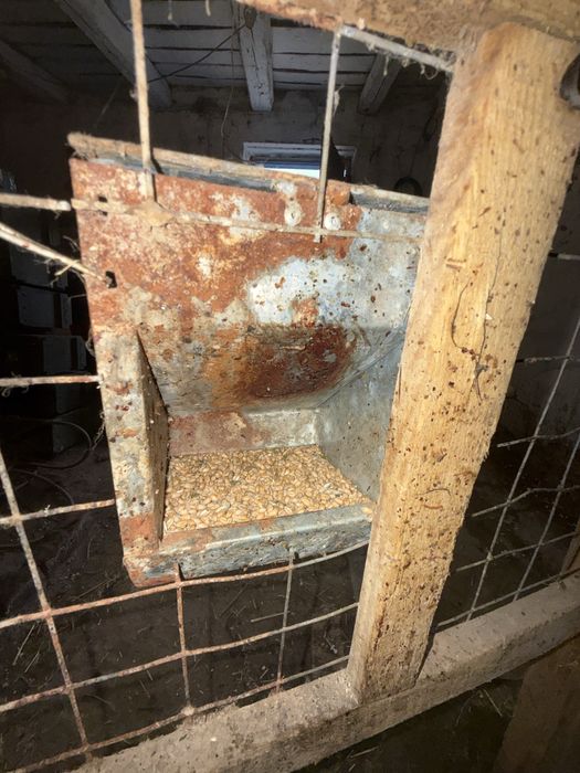 Клітка для кролів