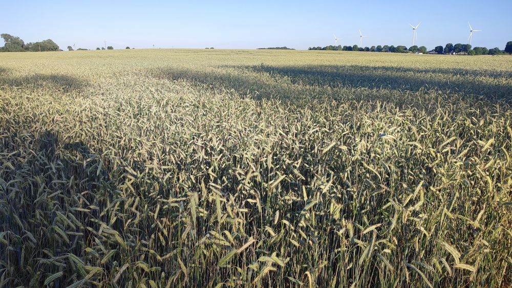 Ziemia rolna grunty orne 8,86 ha gm. Bukowiec
