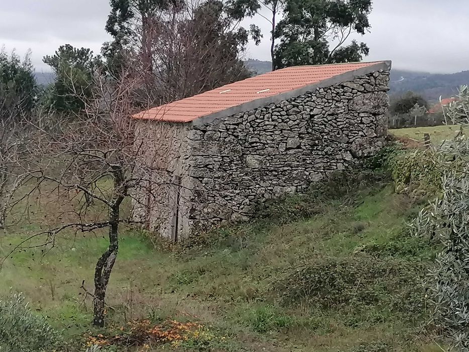 Vendo Magnifica propriedade no Parque Natural da Serra da Estrela