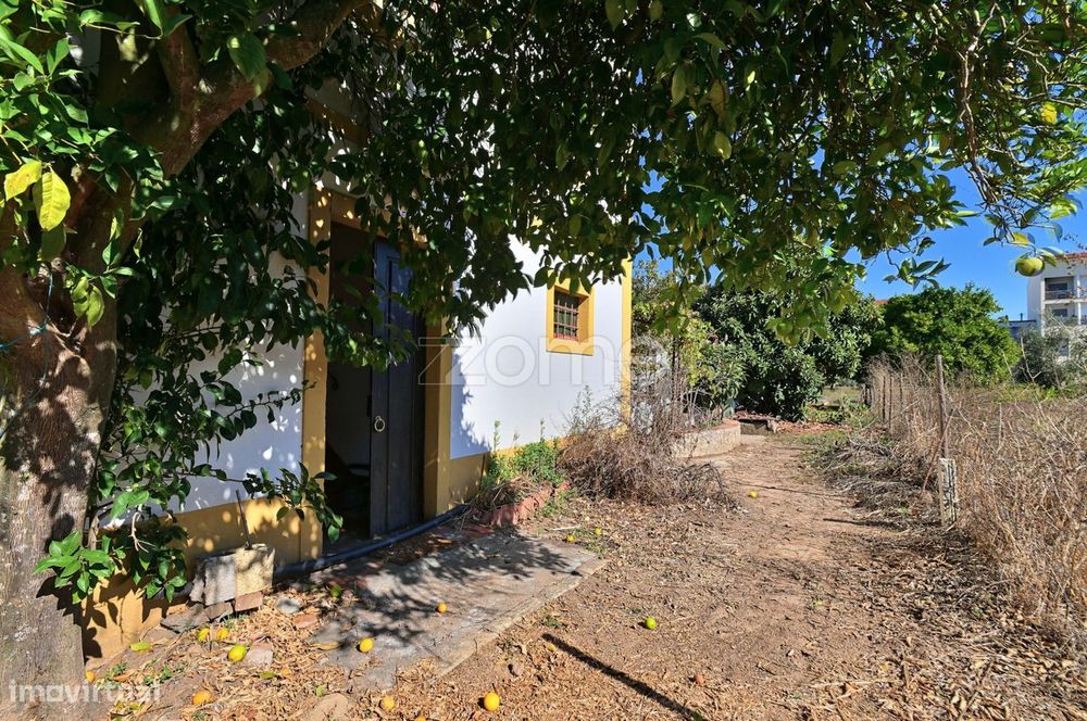 Quinta Ribeirinha em Abrantes