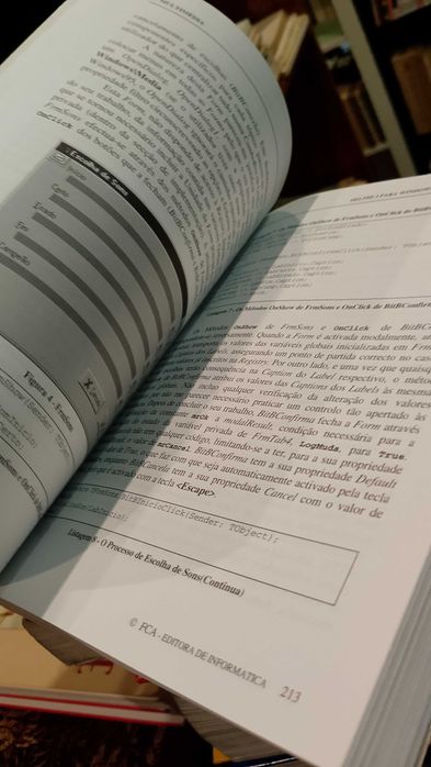 Delphi 3 (Curso completo) - Armando Halpern