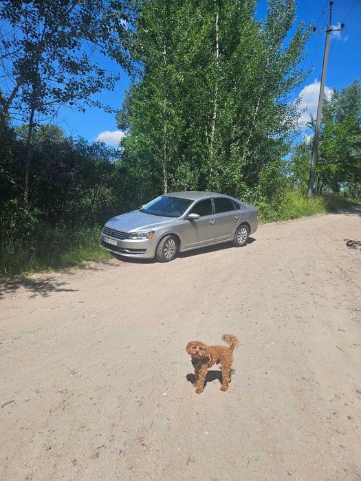 Продаю Volkswagen Passat B7 2011р 2,5л Автомат пишіть на Вабер або дзвоніть