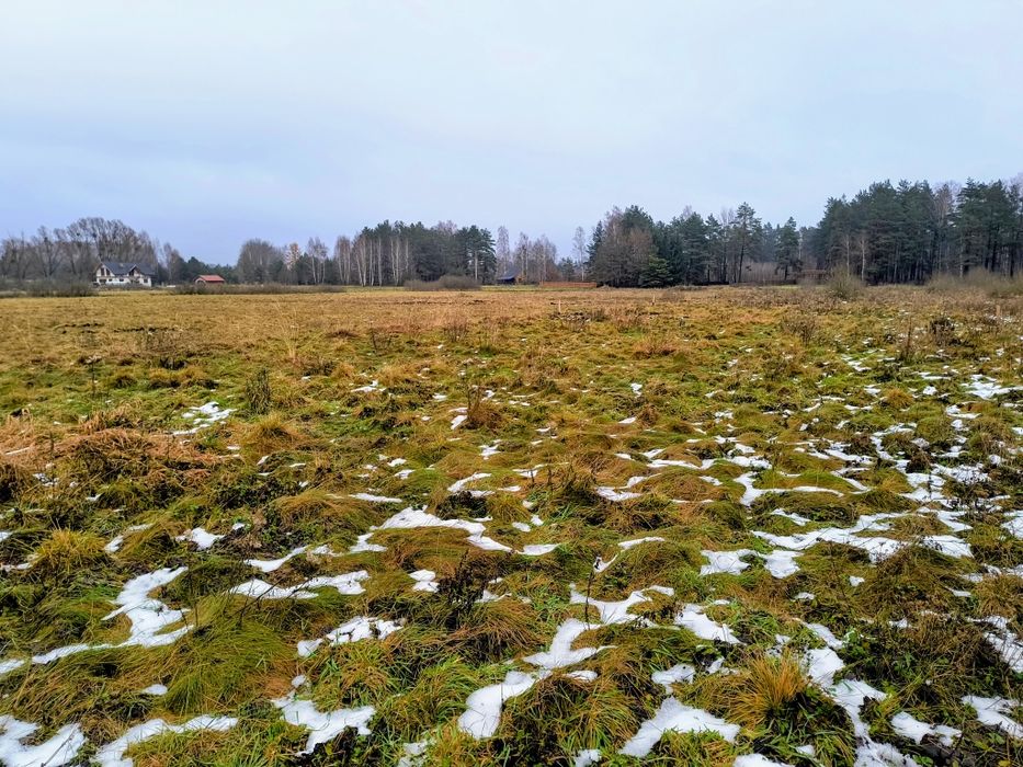 Działka rekreacyjna 3004 m2 w Karwiku, jezioro Seksty, Mazury