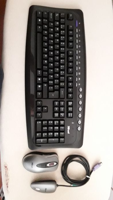 Wireless PS/2 Keyboard and Mouse64730219883010120